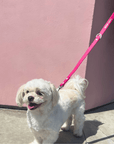 Wander! Multiway Waterproof Leash Petunia - Furry Muse WAN - LEA - OS - MA