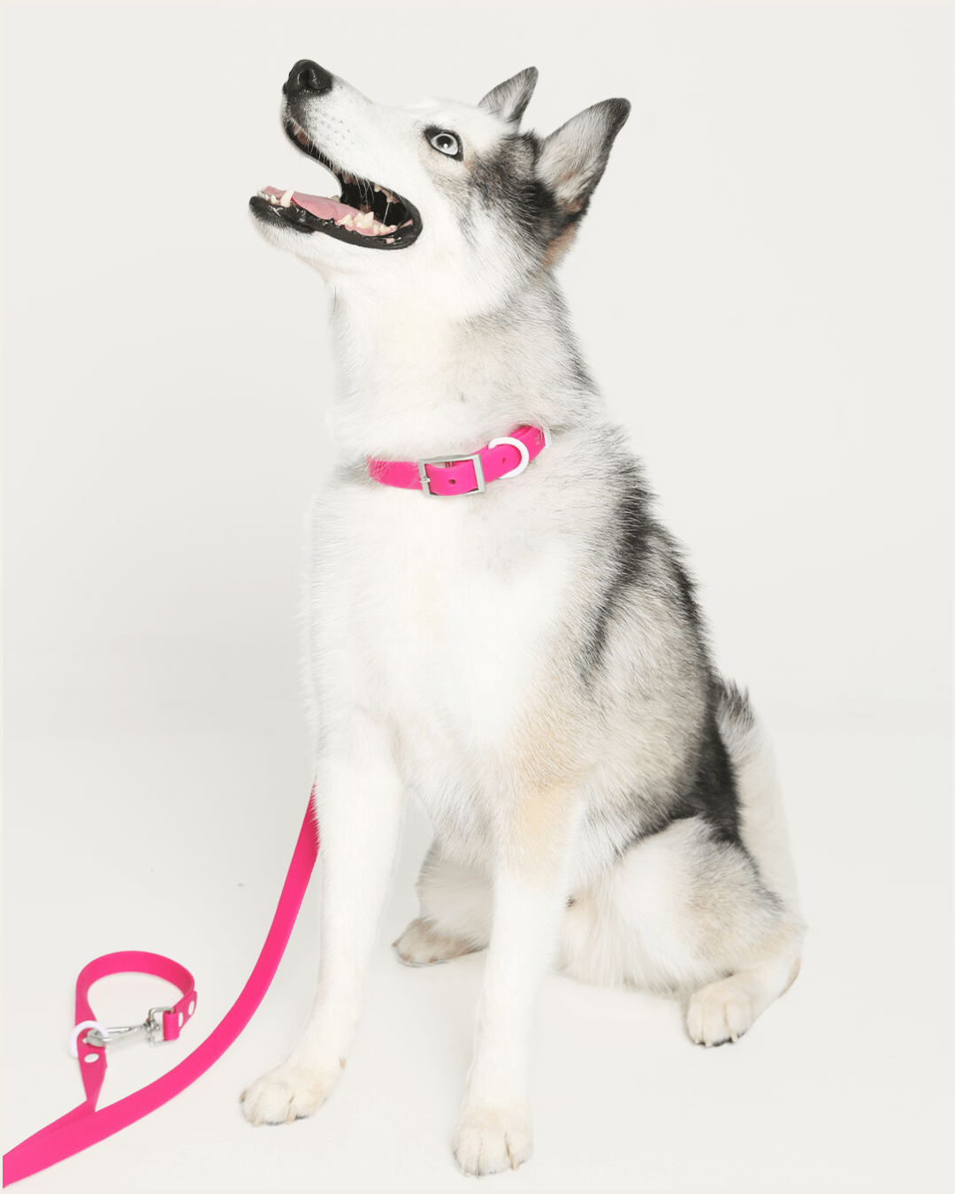 Furry Muse - Wander! Multiway Leash - Bubblegum -