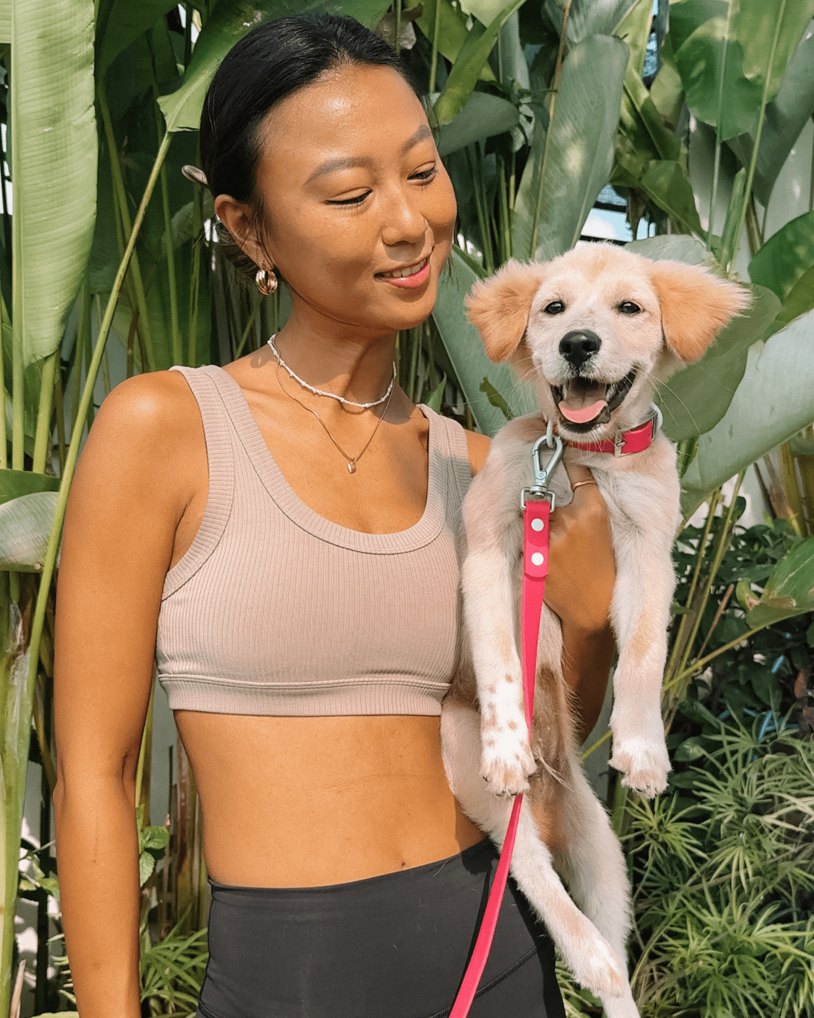 Furry Muse - Wander! Multiway Leash - Bubblegum -