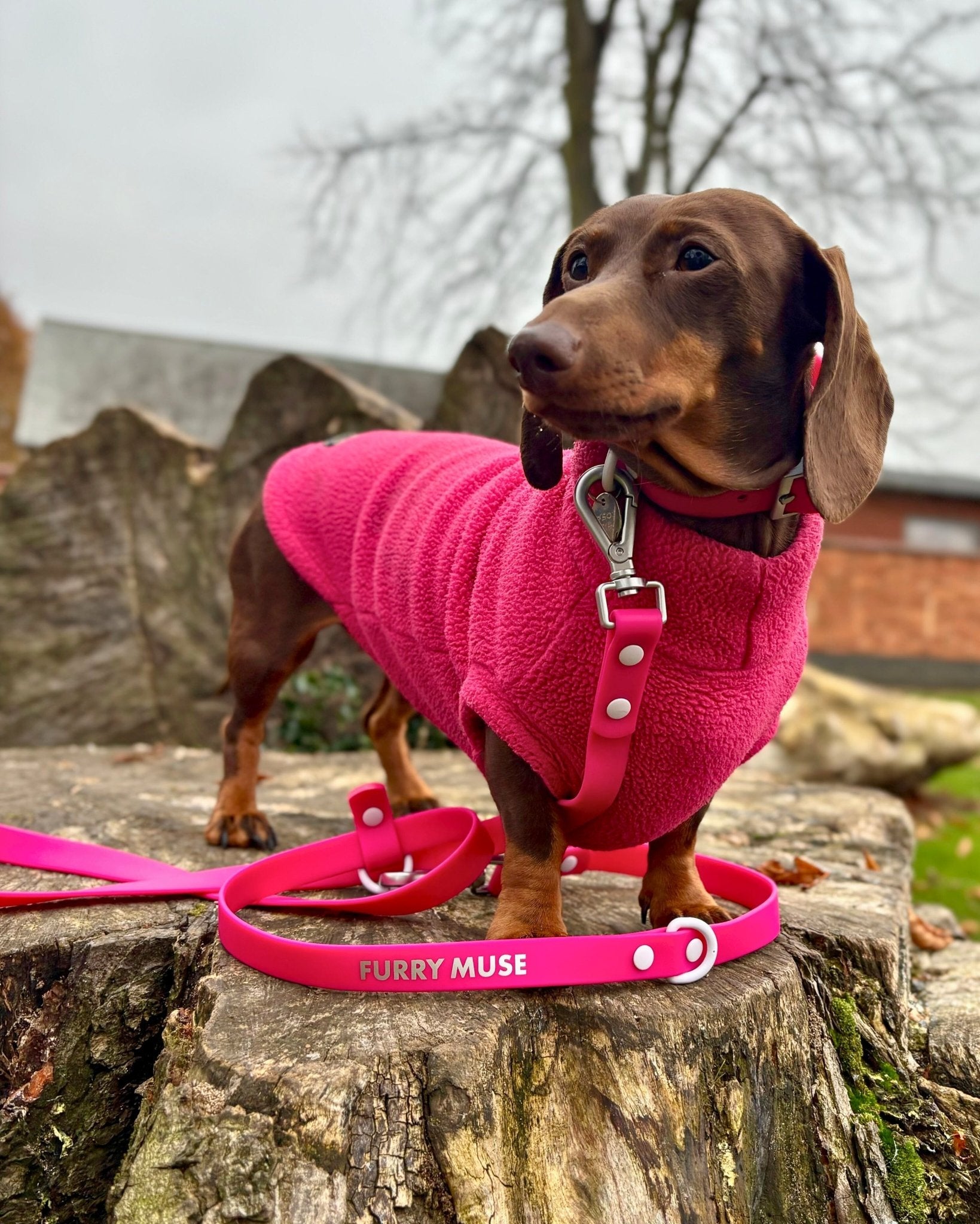 Furry Muse - Wander! Multiway Leash - Bubblegum -