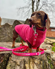Wander! Multiway Waterproof Leash Petunia - FURRY MUSE WAN - LEA - OS - MA
