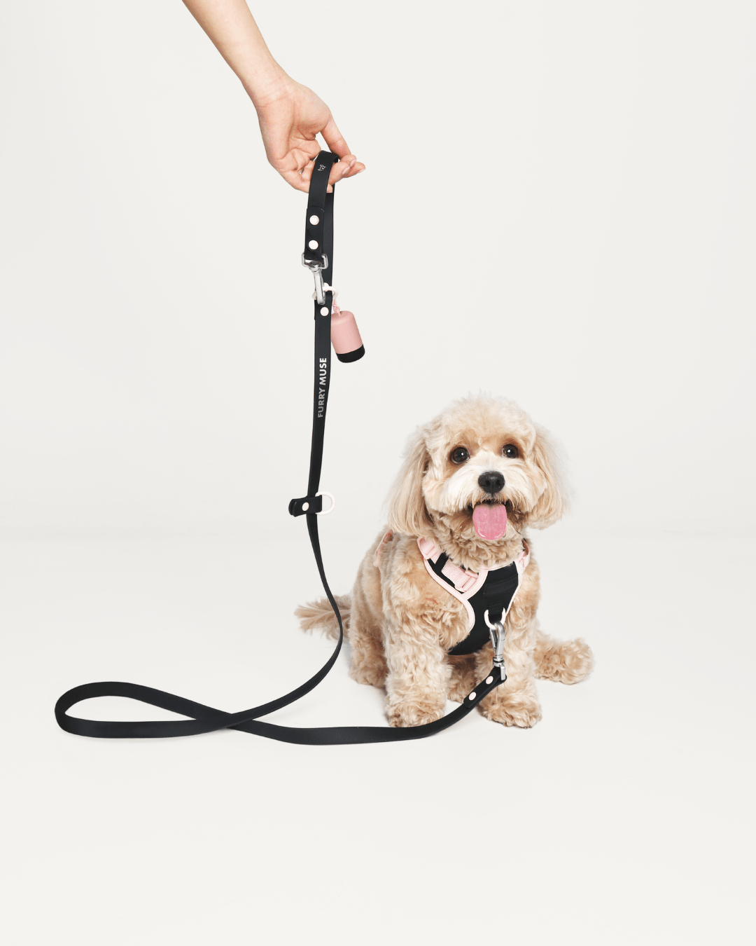 Furry Muse - Wander! Multiway Leash &amp; Poop Pouch - Ballerina -