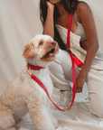 Wander! Waterproof Collar Cherry - FURRY MUSE WAN - COL - S - RD