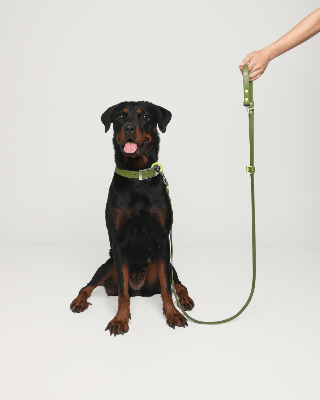 Furry Muse - Wander! Waterproof Collar - Martini -