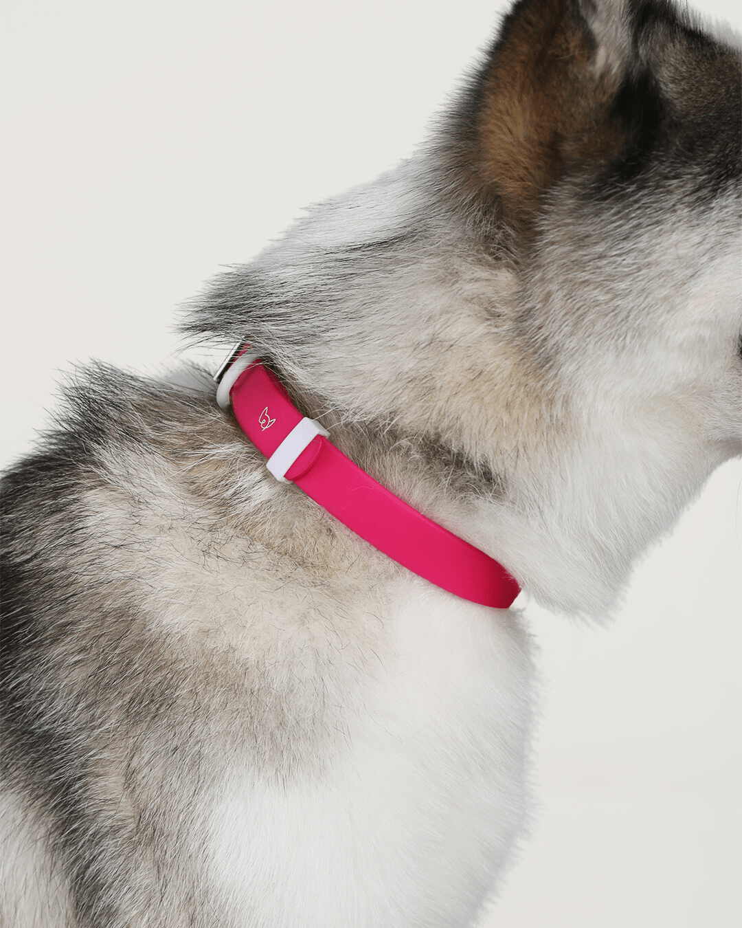 Furry Muse - Wander! Waterproof Collar - Bubblegum -