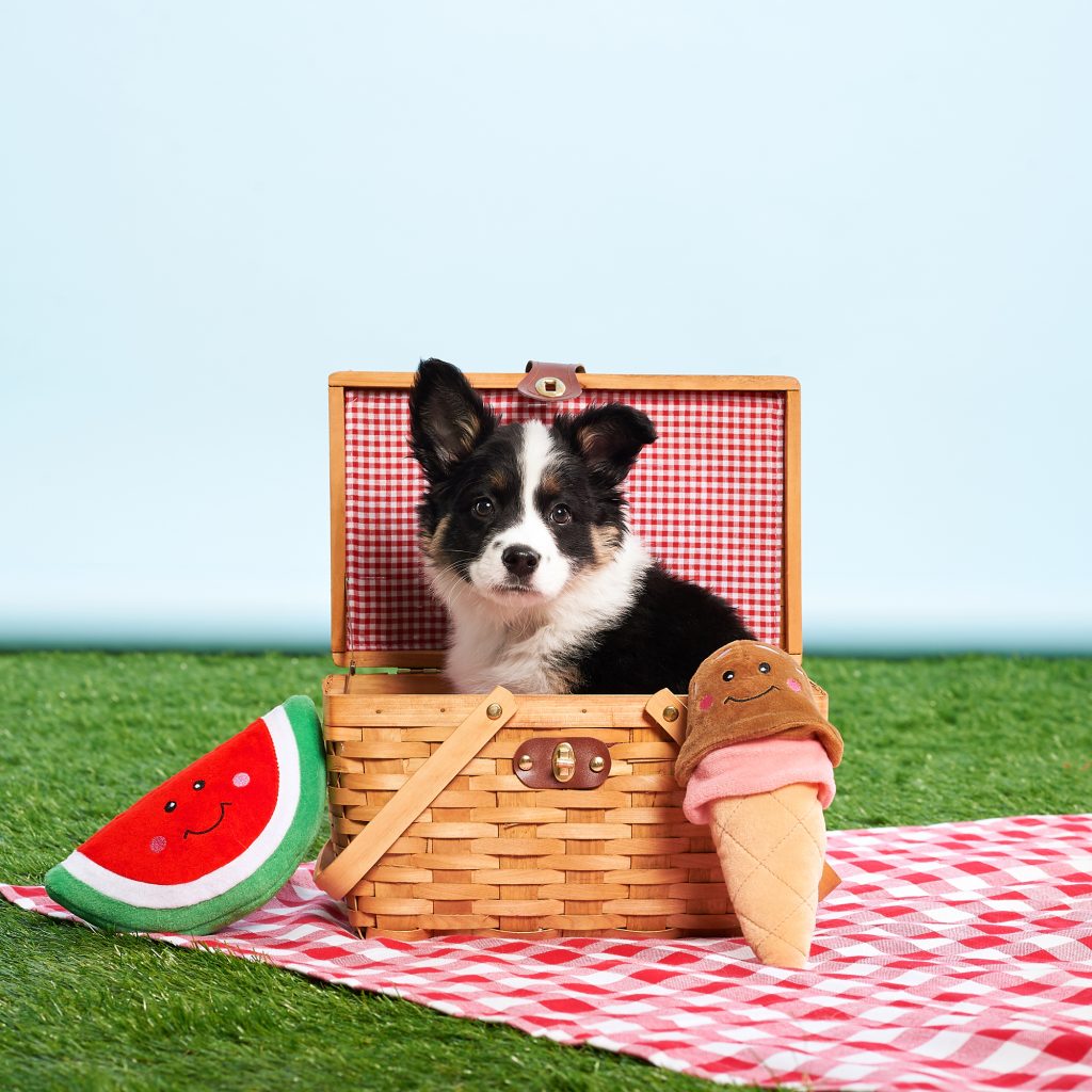 Zippy Paws - NomNomz - Ice Cream -