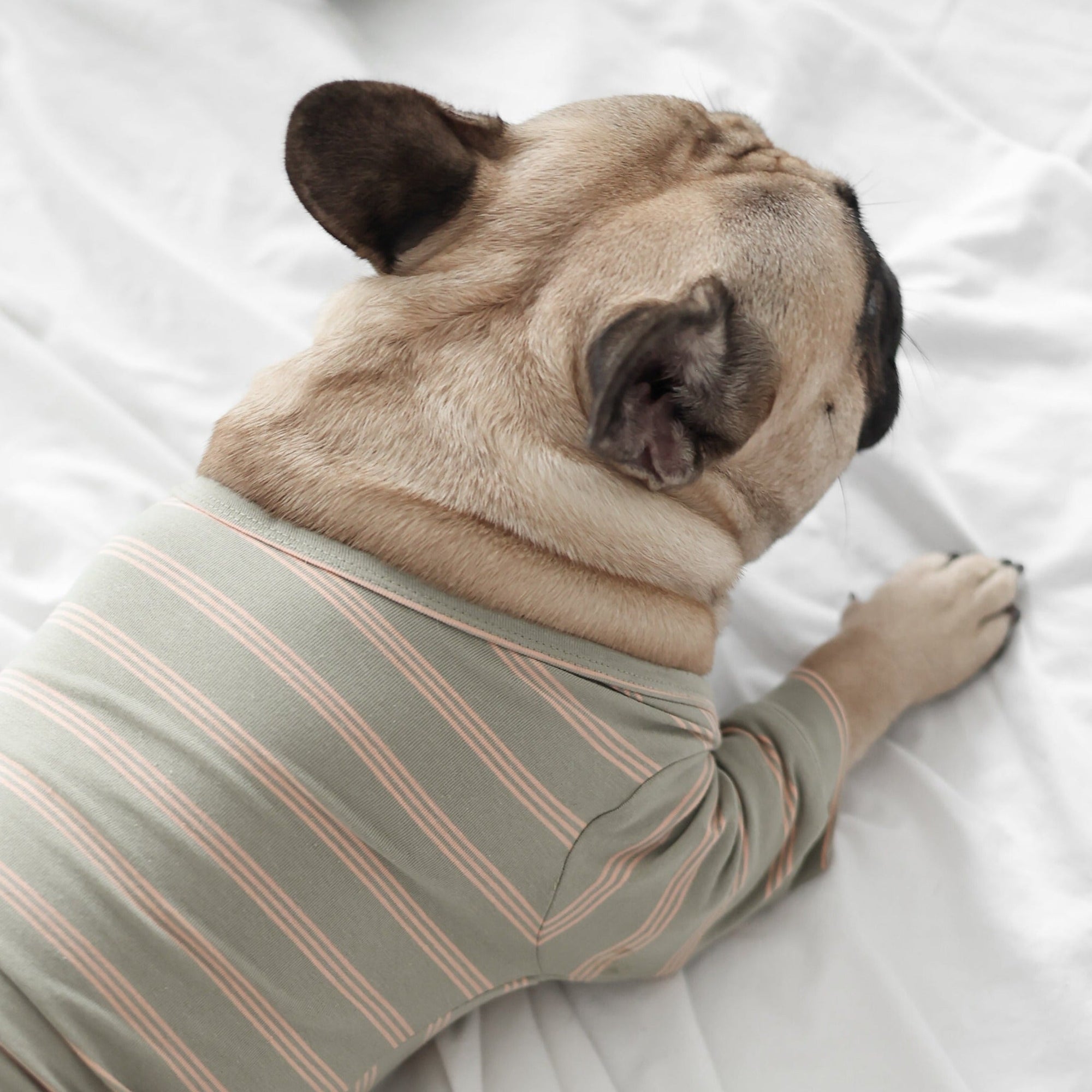 Lambwolf Collective - Chelsea Dog Tee - Fern - XL