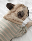 Lambwolf Collective - Chelsea Dog Tee - Fern - XL