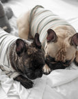 Lambwolf Collective - Chelsea Dog Tee - Earth -