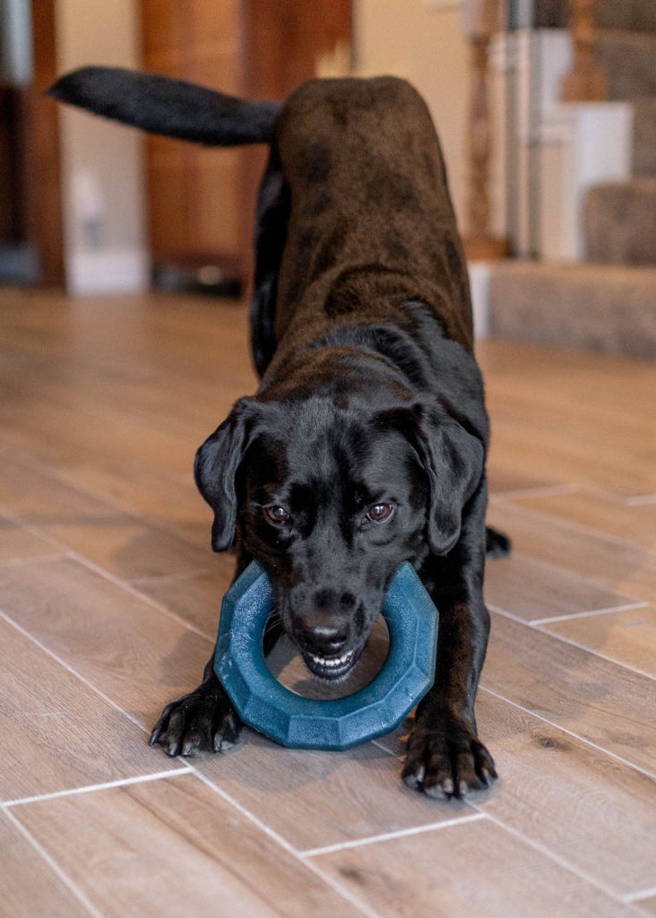 Zippy Paws - ZippyTuff+ Emerald Ring -